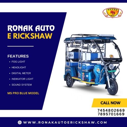 Top 10 e rickshaw manufacturers (2) Top 10 e rickshaw manufacturers (2)