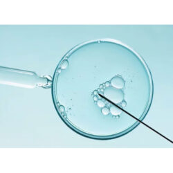 fertility preservation (1)