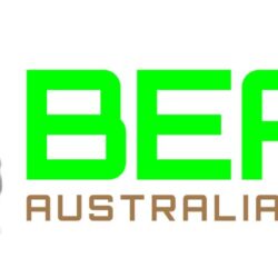 bear-logo-v3