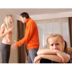 Safe Paths Forward Domestic Violence Solutions