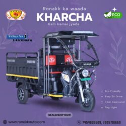 Top 10 e rickshaw manufacturers  (1)