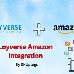 Loyverse Integration (2)