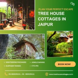 Resorts Near Delhi (6) (2)