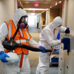 Virus or Bacteria Disinfection