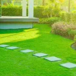 Expert Landscaping Services