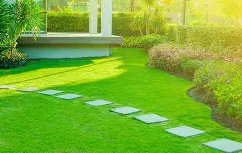Expert Landscaping Services Expert Landscaping Services