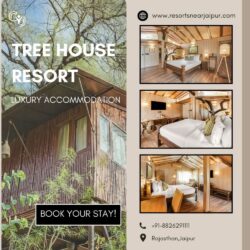 www.treehousecottages.co.in (1)