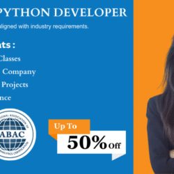 Online Python Course in pune
