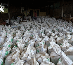 Vermicompost Supplier in Ahmedabad