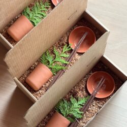 Introducing-_Barter_Gift_Sets._Inspired_by_the_materials_and_scents_of_the_West_Coast_included_is_a_pair_of_our_hand-whittled_Douglas_Fir_off-cut_chopsticks_and_a_matching_small_clay_cup_and_bowl._Each_box_is_1_optim
