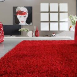 Luxury-red-carpet