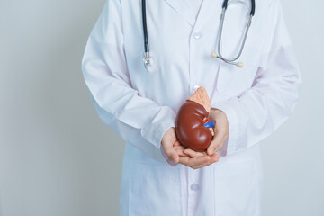 Renal Transplant Renal Transplant