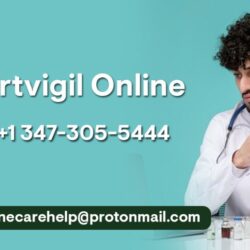 Artvigil-Online2