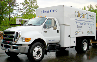 cleartree-truck-1 cleartree-truck-1