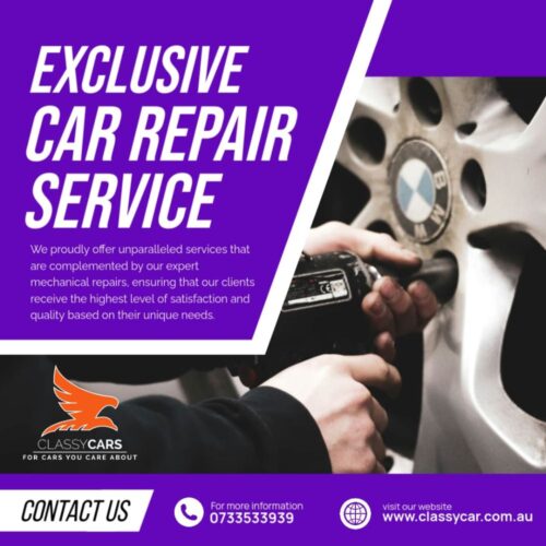 Professional Car Repair Service(1) Professional Car Repair Service(1)
