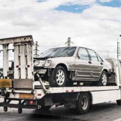 car-dismantlers-auckland