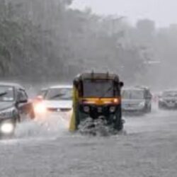 बारिश की वजह से दिल्ली में IMD का रेड अलर्ट, पेड़ गिरने से चार की मौत