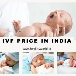 IVF PRICE IN INDIA