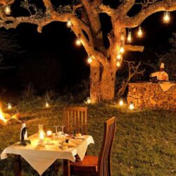 serengeti-camp-1024x576