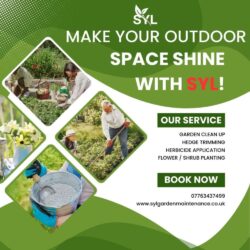 Make Your Outdoor Space Shine With SYL(1)
