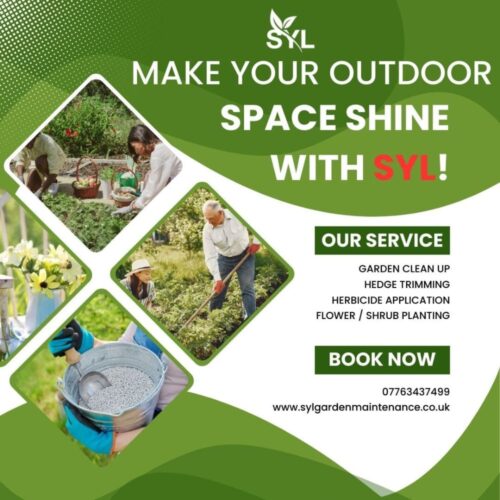 Make Your Outdoor Space Shine With SYL(1) Make Your Outdoor Space Shine With SYL(1)