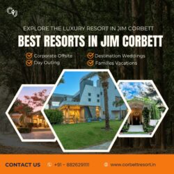 Luxury Resorts in Jim Corbett with Pool, Safari & Private Cottages (1)