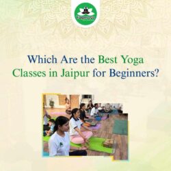 Which Are the Best Yoga Classes in Jaipur for Beginners