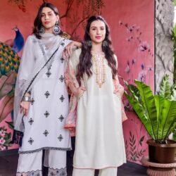 Elegant Ethnic Wear for Women – Shop Online at SHREE