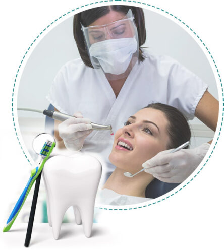 dentist dentist
