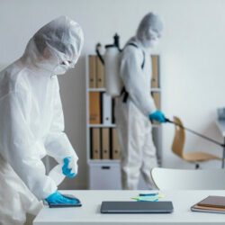 Pest Control Ajman