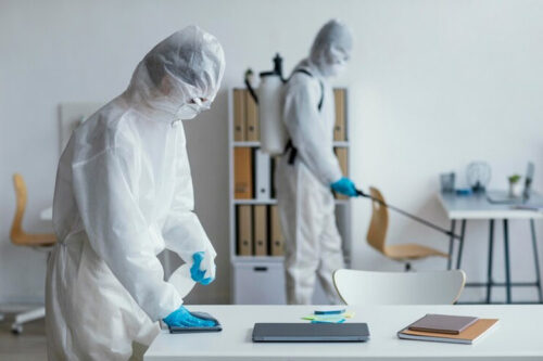 Pest Control Ajman Pest Control Ajman