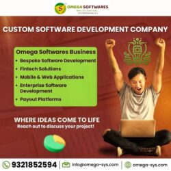 Custom Software Development