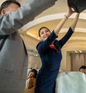 FlightAttendant3 FlightAttendant3