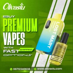 Buy Premium Vapes with Fast Shipping Options