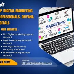 Mumbai's top digital marketing agency