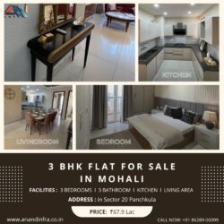 3 BHK FLAT FOR SALE IN MOHALI.jpeg_1000x1000