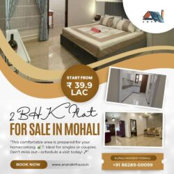 2 BHK Mohali-Anand infra.