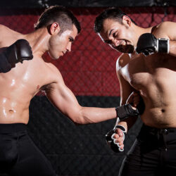 1Mixed-Martial-Arts