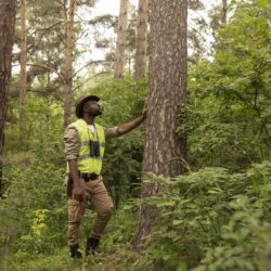 Professional-Arborist-Services-2048x1365
