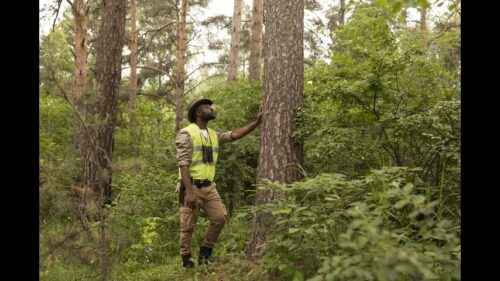 Professional-Arborist-Services-2048x1365 Professional-Arborist-Services-2048x1365