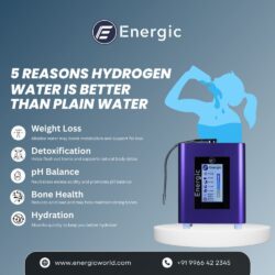 Upgrade to Energic Hydrogen Alkaline Water Ionizer
