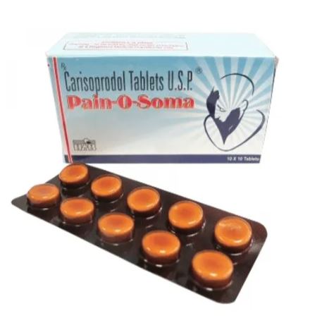 painosoma painosoma
