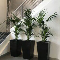 image8