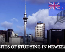 benefits-of-studying-in-new-zealand-1024x536 (2) (1)