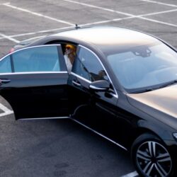 Common-Transfer-chauffeur-6