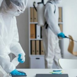 Pest Control Ajman