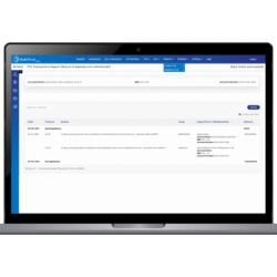 financial-re-laptop