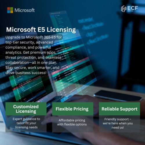 Microsoft E5 Licensing Microsoft E5 Licensing