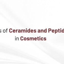 uses-of-ceramides-and-peptides-in-cosmetics