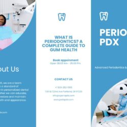 What Is Periodontics A Complete Guide to Gum Health